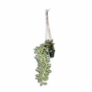 Maceta Colgante Con Hoja Verde Artificial GUANGDONG XINXIN Unidad