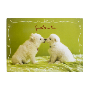 Tarjeta Toda Ocasión HALLMARK 14,6 X 21,1 Cm