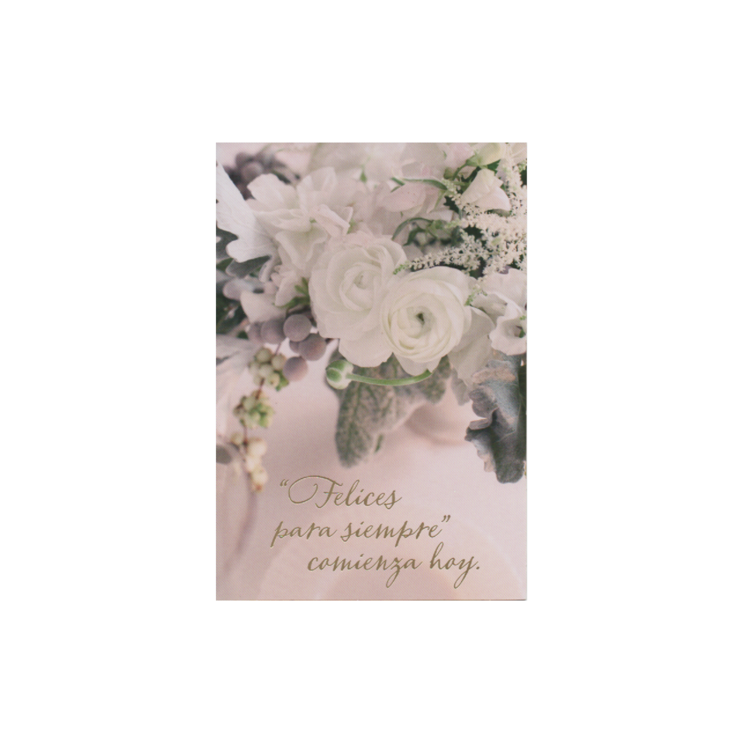 Tarjeta Toda Ocasión HALLMARK 14,6 X 21,1 Cm