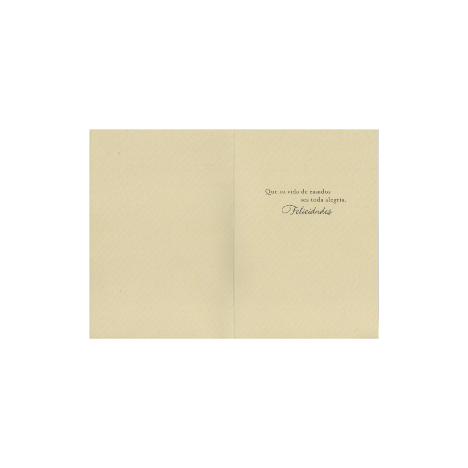 Tarjeta Toda Ocasión HALLMARK 14,6 X 21,1 Cm - Image 2