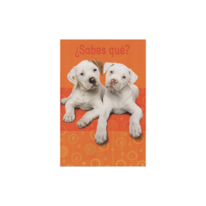 Tarjeta Toda Ocasión HALLMARK 14,6 X 21,1 Cm