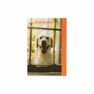 Tarjetas De Regalo Toda Ocasión HALLMARK 14.6 X 21.1 Cm