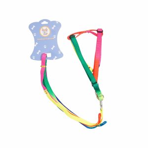 Collar Para Mascota Y Correa Colores Mix BTA PET Talla Pequeño